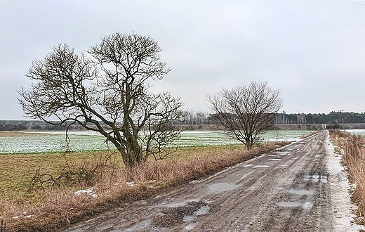 polnymi drogami piechotą