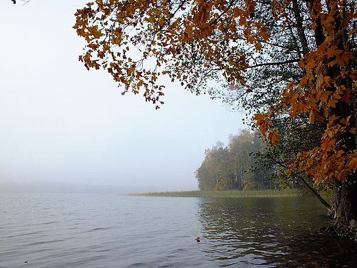 Jezioro Hacza, jesiennie