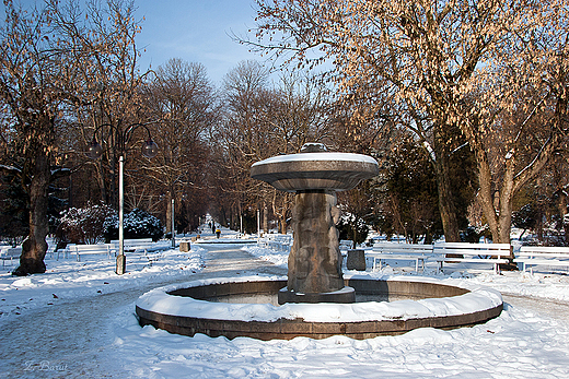 fontanna w Parku Zdrojowym