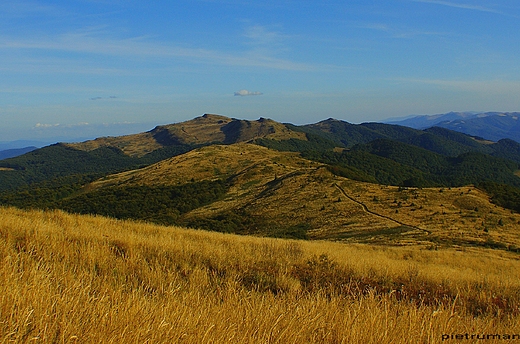 Kiczyk Bukowski (1251 m n.p.m.). Bieszczady