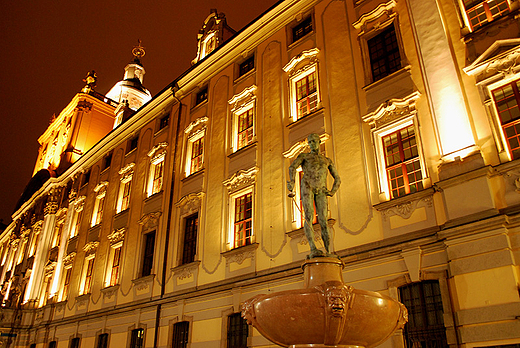 Uniwersytet Wrocławski - iluminacja