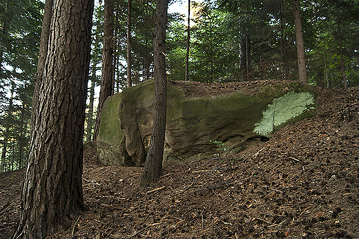 Wola Komborska - skalne ostace piaskowcowe