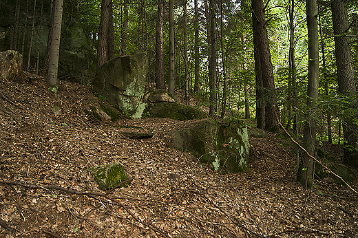 Wola Komborska - skalne ostace piaskowcowe