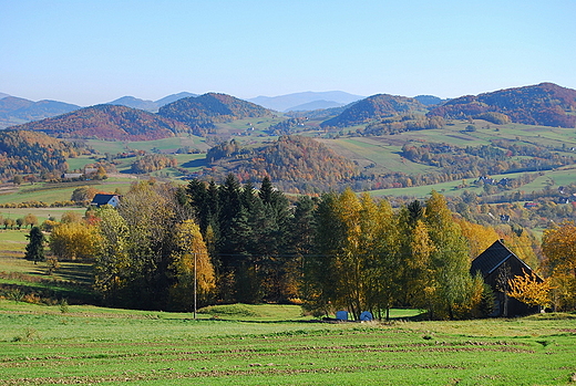 Widok