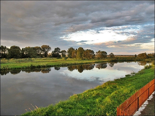 Narew