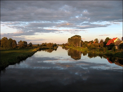 Narew