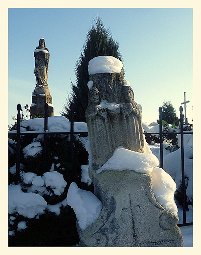 na tyszowieckim cmentarzu