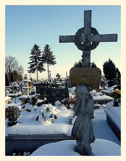 na tyszowieckim cmentarzu