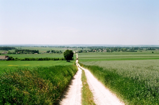 Widok na wie