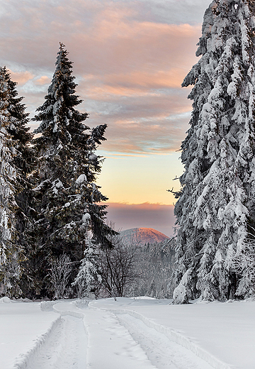 Widok na Lackow