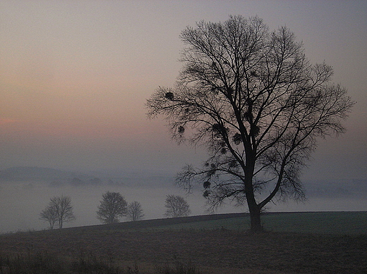 Poranek na Kaszubach