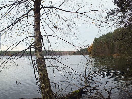 Jezioro Biae Wigierskie, listopad