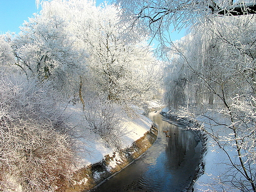 Zakole Silnicy. Kielce