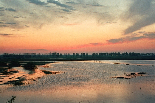 Rozlewiska Narwi