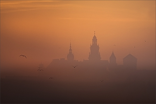 Poranek z widokiem na Wawel