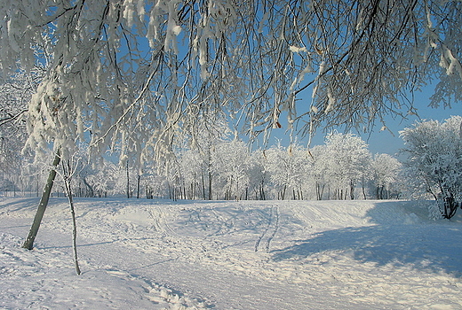 Pierwszy, powany opad niegu. Kielce