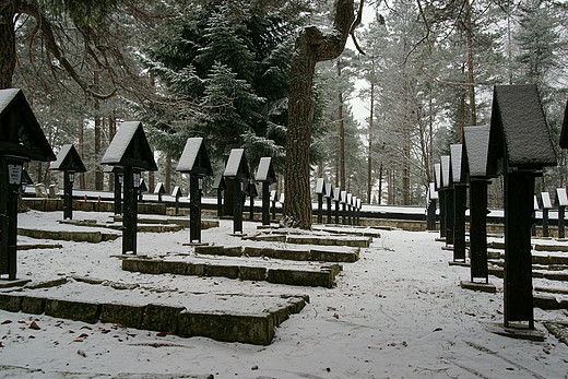 Cmentarz Wojenny nr 60 na Przeczy Maastowskiej