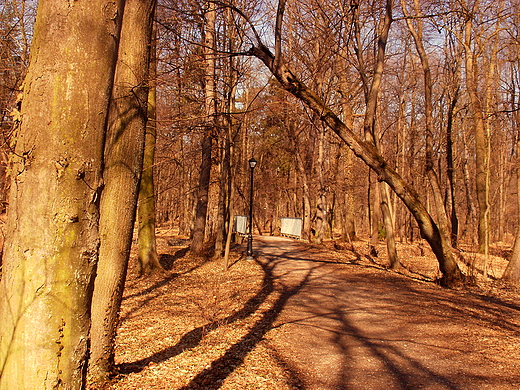 Spacer po parku przyklasztornym w Rudach