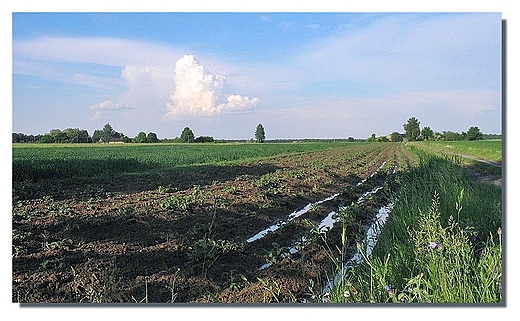 wiosna na Podlasiu