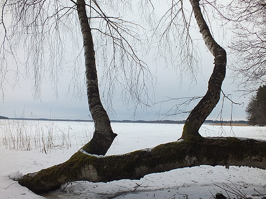 Jezioro Wigry, Zatoka Supiaska