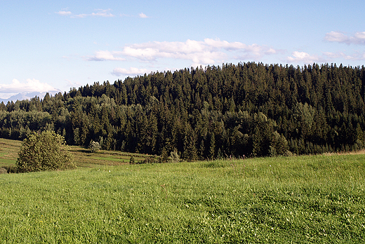 Okolice Czarnego Dunajca.