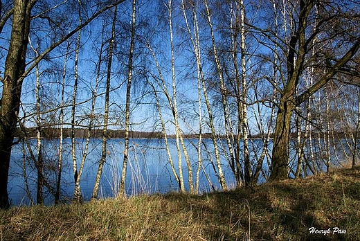 Grabwka staw Maa Mewa