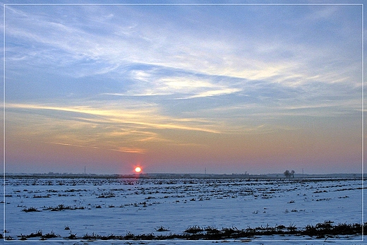 zimowe soneczko