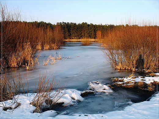 przedwionie nad Bugiem