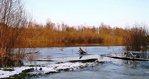 przedwionie nad rzek