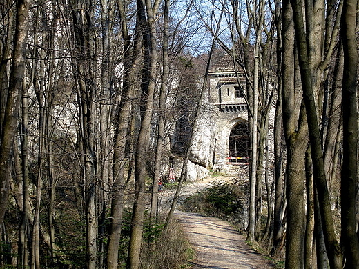 Zamek w Pieskowej Skale