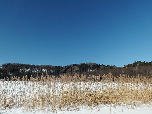 Jezioro Jaczno