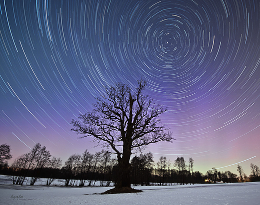 Startrails Db 1