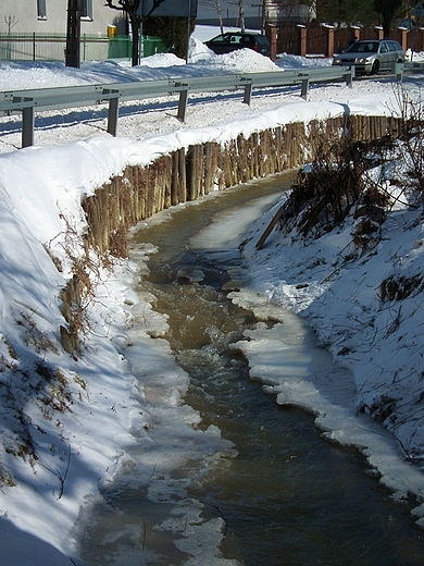 Rzeka Wynica