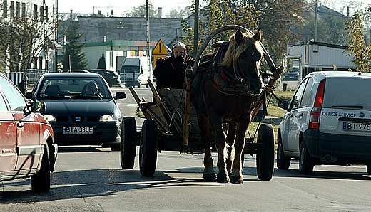 Ostatni mohikanin