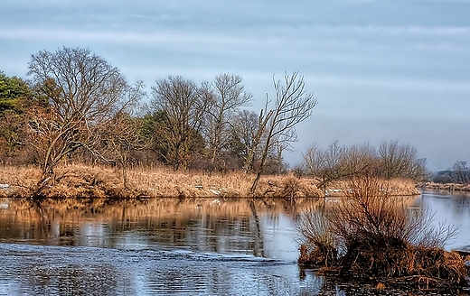 nad Wartą