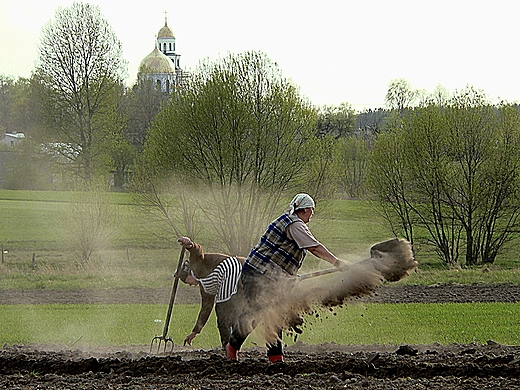 Podlaska  radosna wiosna