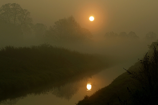 Mglisty poranek nad Supral