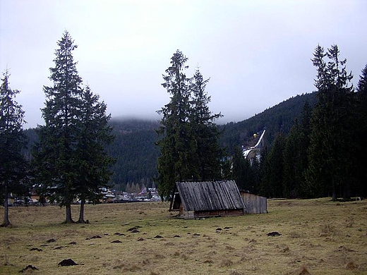 W drodze na skocznie. Zakopane