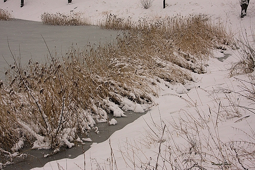 Trzebnickie klimaty