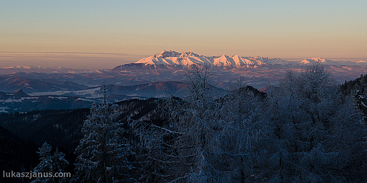 Widok na Tatry z Przehyby