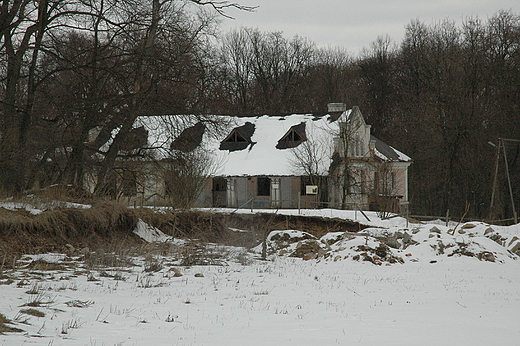 Paac letni Syberia