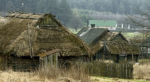 Podlaskie strzechy