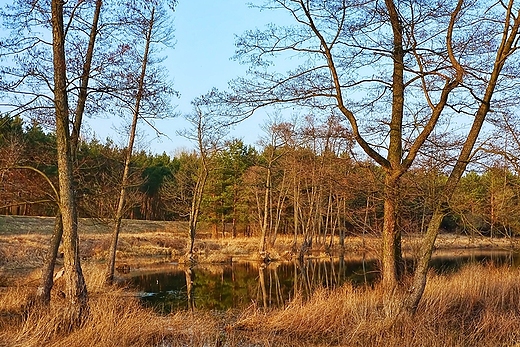 wiosna , cieplejszy wieje wiatr ...  marzec 2012 