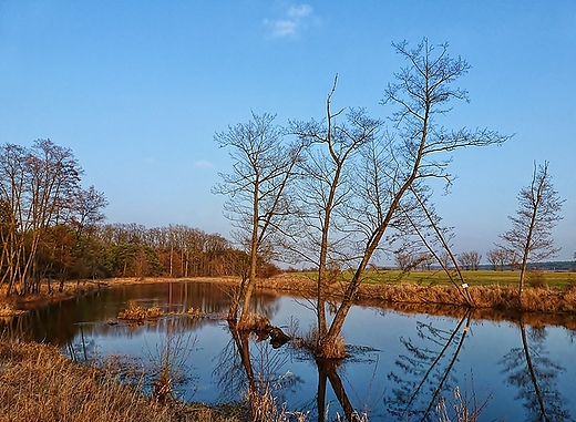 wiosna , cieplejszy wieje wiatr ...  marzec 2012 