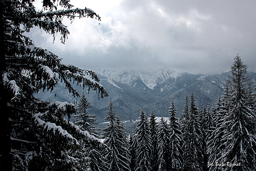 Tatry Zachodnie