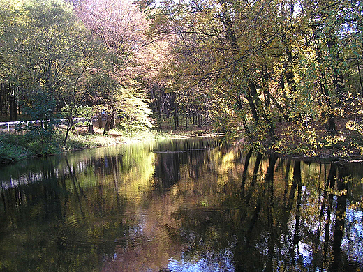 Barwy jesieni. Zoty Potok