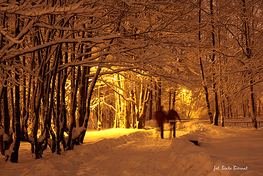 Zakopane