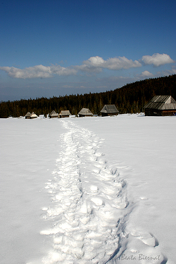 Tatry, Hala Kopieniec