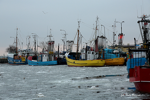 Jastarnia - port rybacki