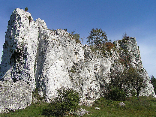 Ukryta stranica. Przewodziszowice